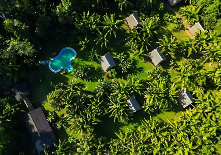 Tambopata: Lago Sandoval e Isla de los Monos