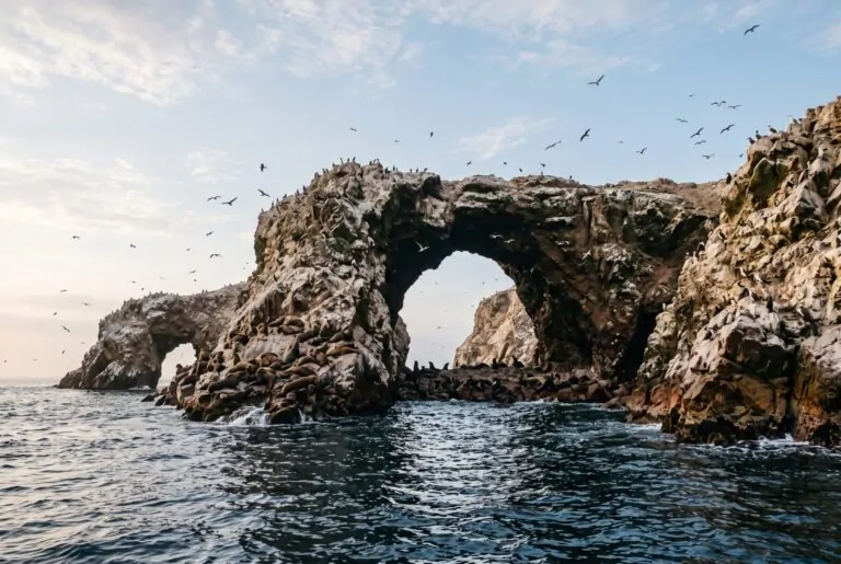 Arcos de roca de las Islas Ballestas con lobos marinos y aves en Paracas