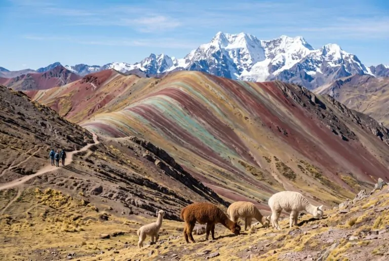 Montaña de Colores Vinicunca con el nevado Ausangate y alpacas